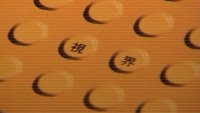Sichtwelt [shikai] Book about Japan